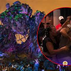 Disney World Fight Erupts Outside Avatar Ride, On Video