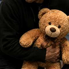 Florida Man Accused of Stealing Teddy Bear With Child's Ashes, Cyberstalking Ex