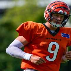 Kalshi promo code NYPMAX: Trade $25, get up to $500 for Lions vs. Bengals