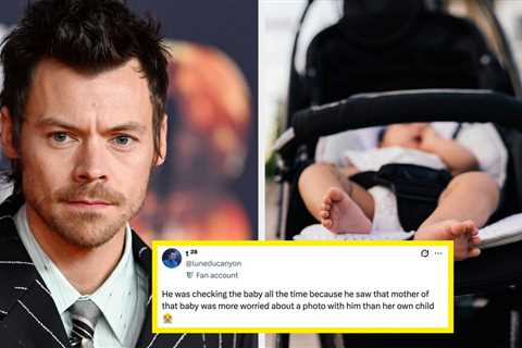 Harry Styles Literally Had To Tell A Fan To Grab Their Baby’s Stroller As It Rolled Into Oncoming..