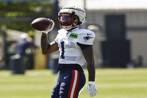 Ja’Lynn Polk abruptly retires from the NFL at 24-years-old after Patriots trade