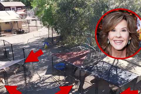 See Linda Blair's Shelter Where Cops Say She Has 250 Dogs