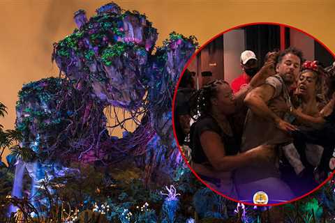 Disney World Fight Erupts Outside Avatar Ride, On Video