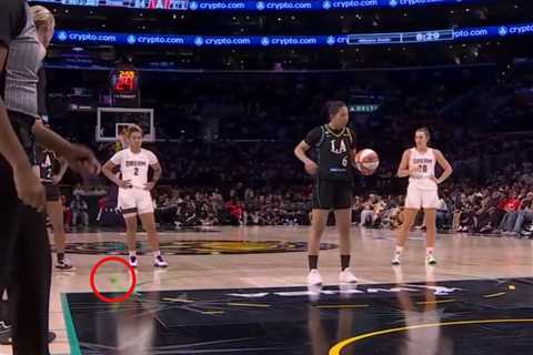 Angel Reese has quite the NSFW reaction to sex toy being thrown on WNBA court