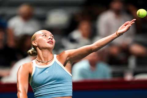 Anastasia Potapova has airplane nightmare on way to US Open: ‘Never done anything like this’
