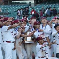 SF high school baseball team fires coaching staff, must forfeit games after racial incident