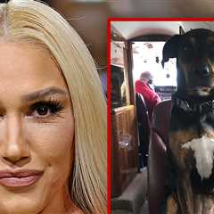 Gwen Stefani Announces Death of 18-Year-Old Family Dog