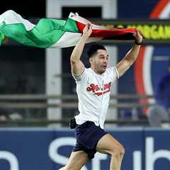 Palestinian Flag-Waving Man Tackled and Restrained by Security At Yankee Stadium
