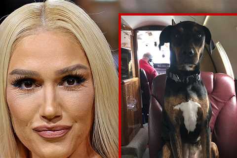 Gwen Stefani Announces Death of 18-Year-Old Family Dog