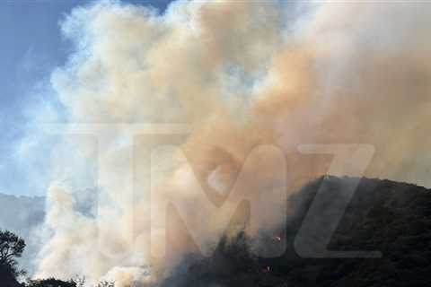 Large Brush Fire Breaks Out Near Famed Getty Center Amid California Heat Wave