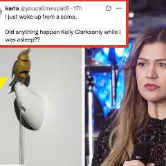 Kelly Clarkson Is Feuding With A Brooklyn Toy Store Over A $15,000 Bird, And The Jokes Are Somehow..